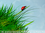 Site de l'agence Directcom - Design - Photoshop